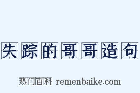 失踪的哥哥造句是什么意思的图片